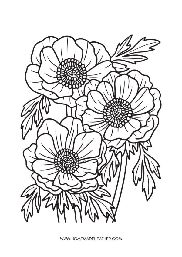 Flower coloring pages homemade heather