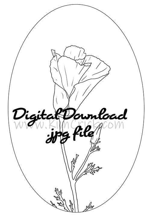 Digital file