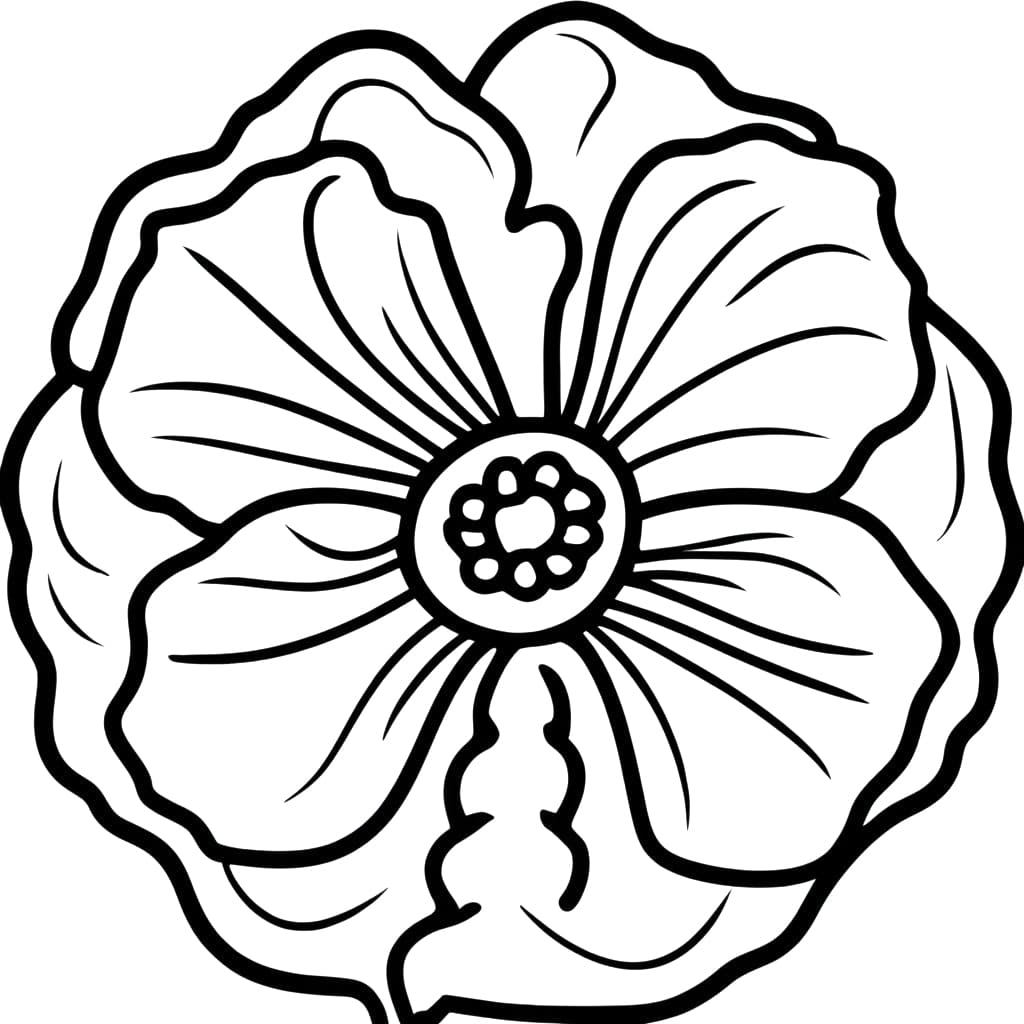 Poppy flower picture coloring page