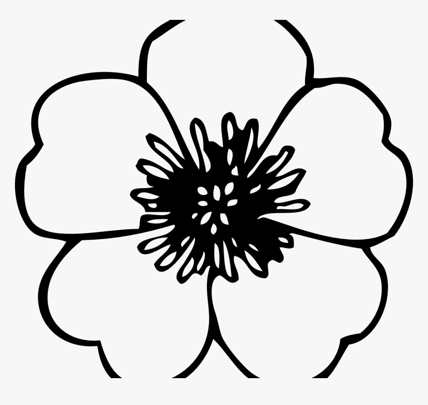 Coloring page poppy flowers veterans day pretty flower
