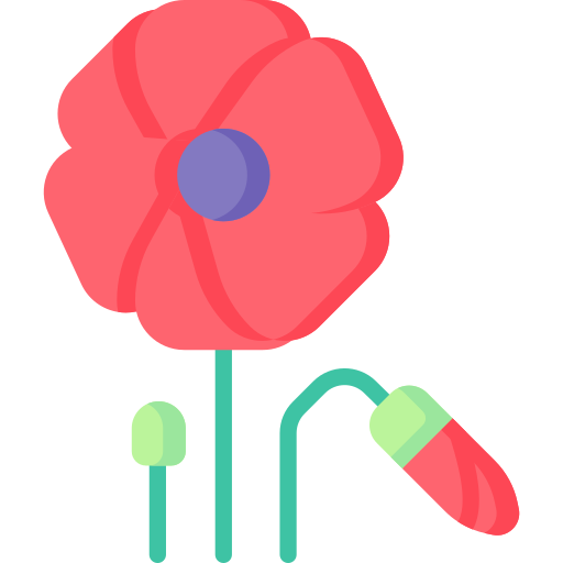 Poppy