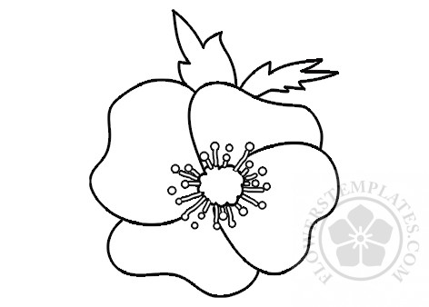 Poppy coloring page