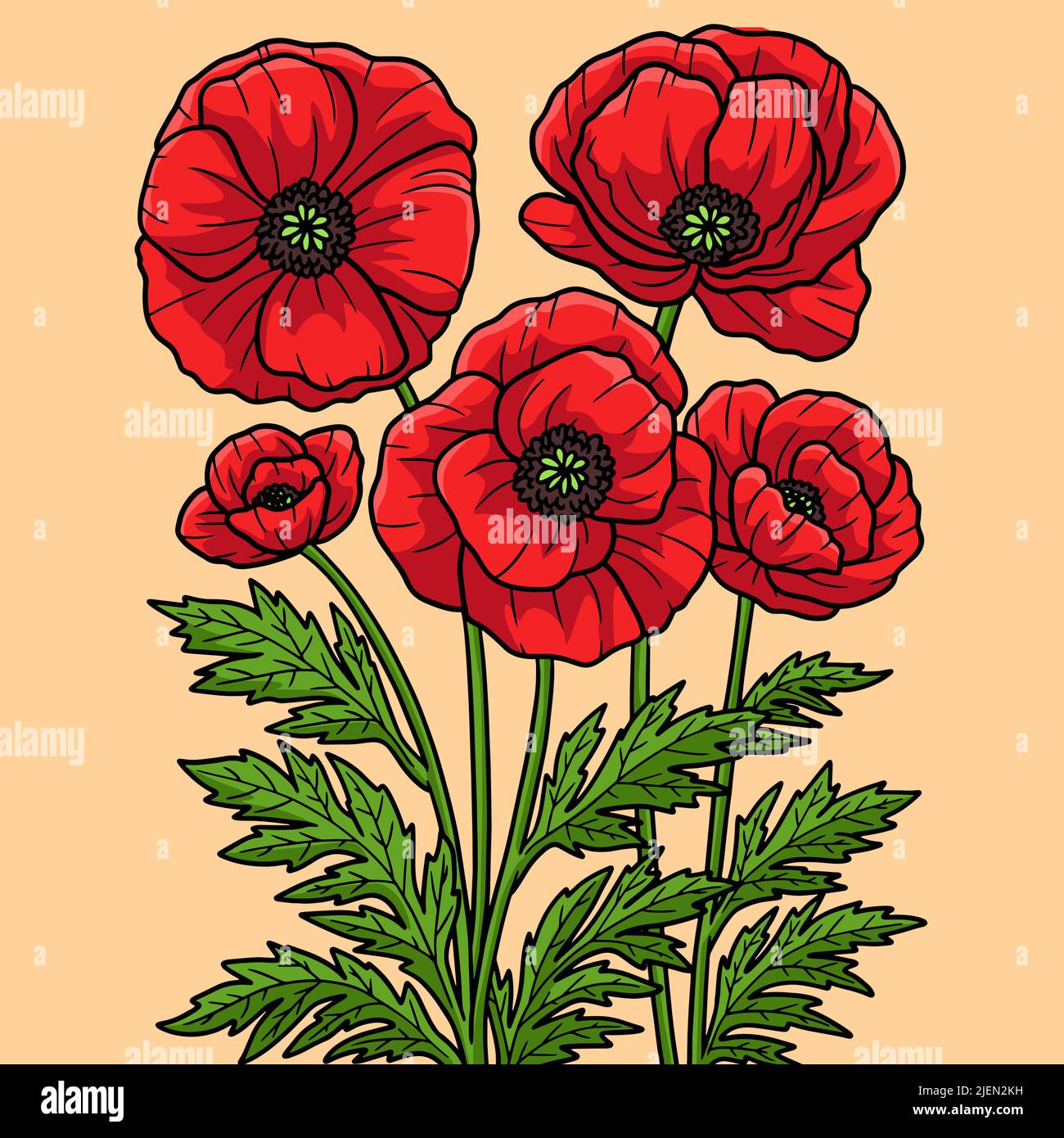 Cartoon poppy flower stock vector images