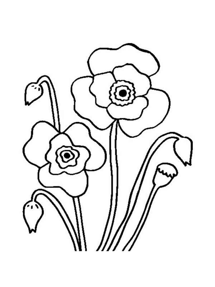 Poppies coloring pages
