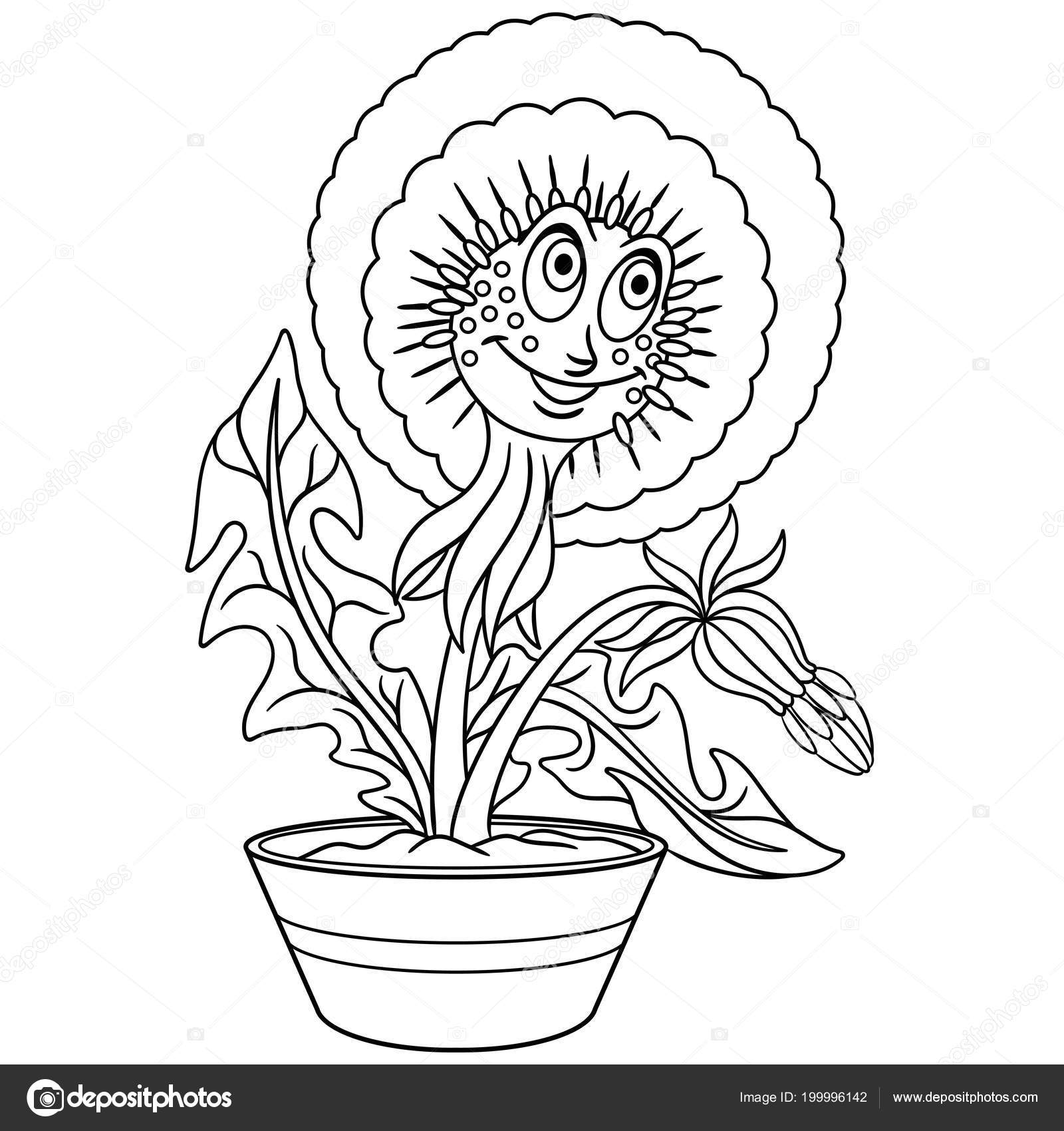 Dandelion flower pot coloring page colouring picture coloring book stock vector by sybirko