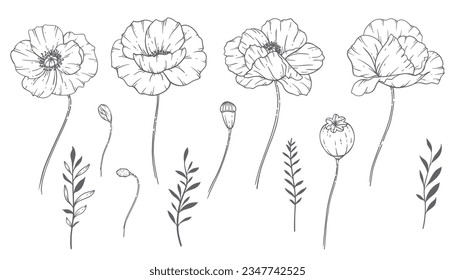 Poppy icons
