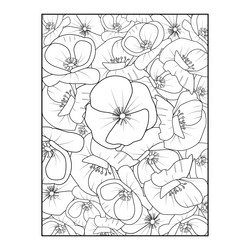 Poppy drawing california vector images over