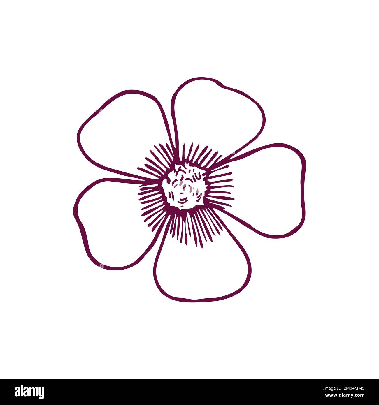 Cartoon poppy flower cut out stock images pictures