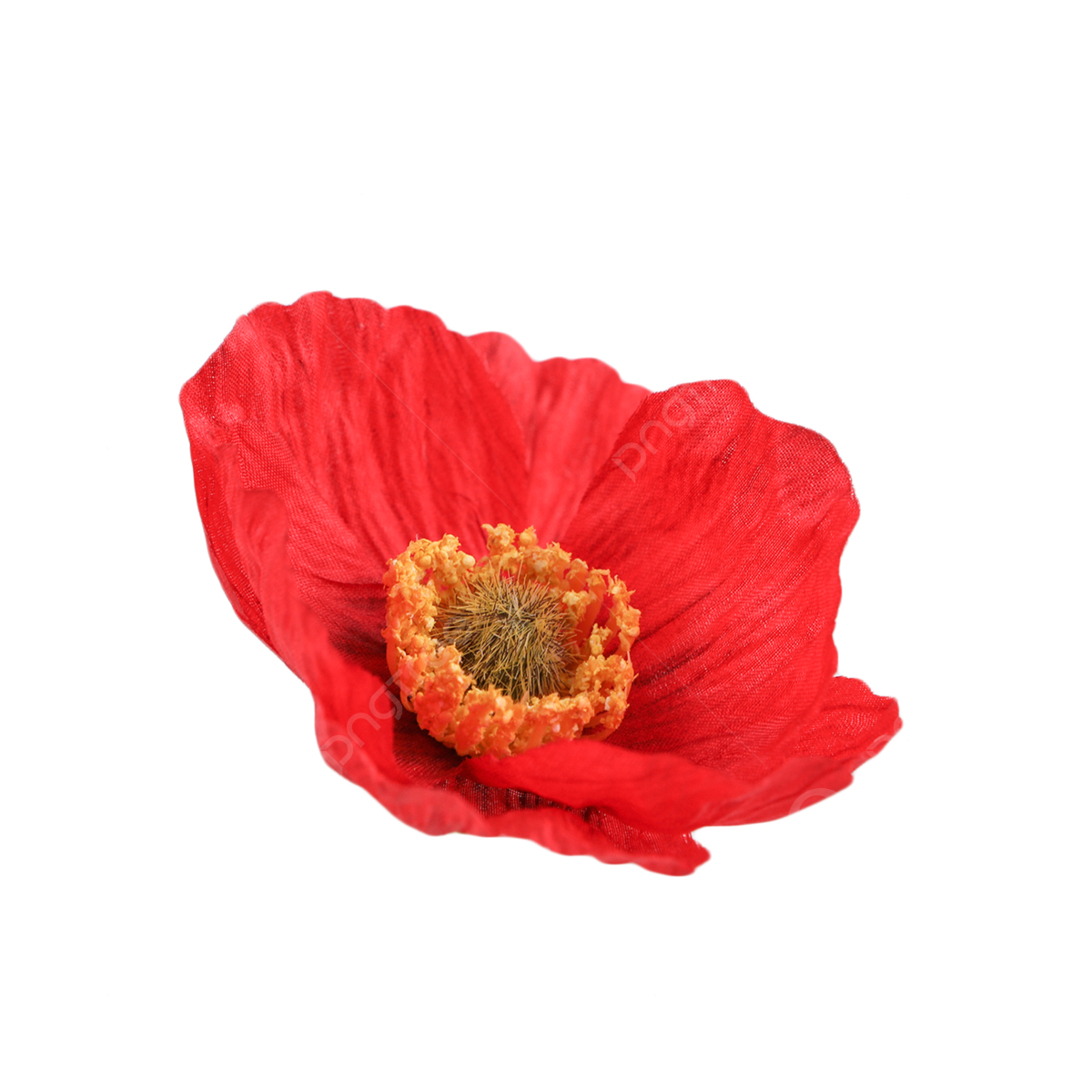 Corn poppy color leaf decoration poppy dress up petal png transparent image and clipart for free download