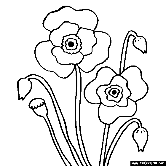 Poppy flower coloring page poppy coloring poppy coloring page flower coloring pages coloring pages