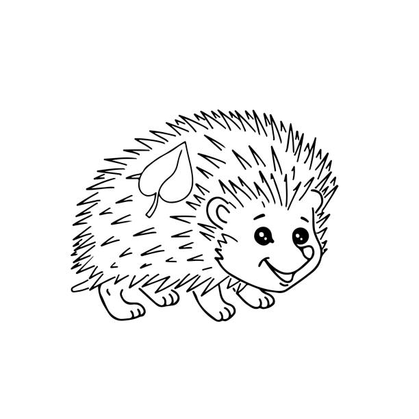 Drawing of mischievous grin illustrations royalty