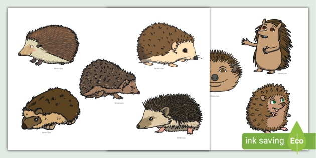 Ð hedgehog counting to stick puppets eyfs and ks maths