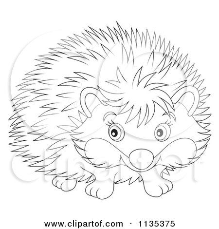 Cute porcupine coloring page cute outlined hedgehog cartoon clip art free cartoon clipart coloring pages