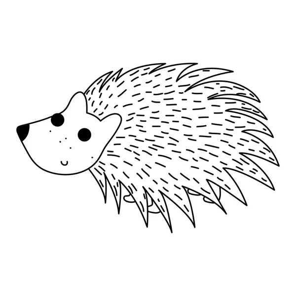 Hedgehog cute cartoon vector images
