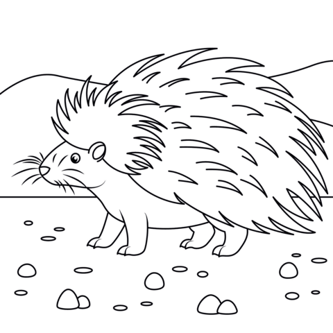Cute porcupine coloring page free printable coloring pages