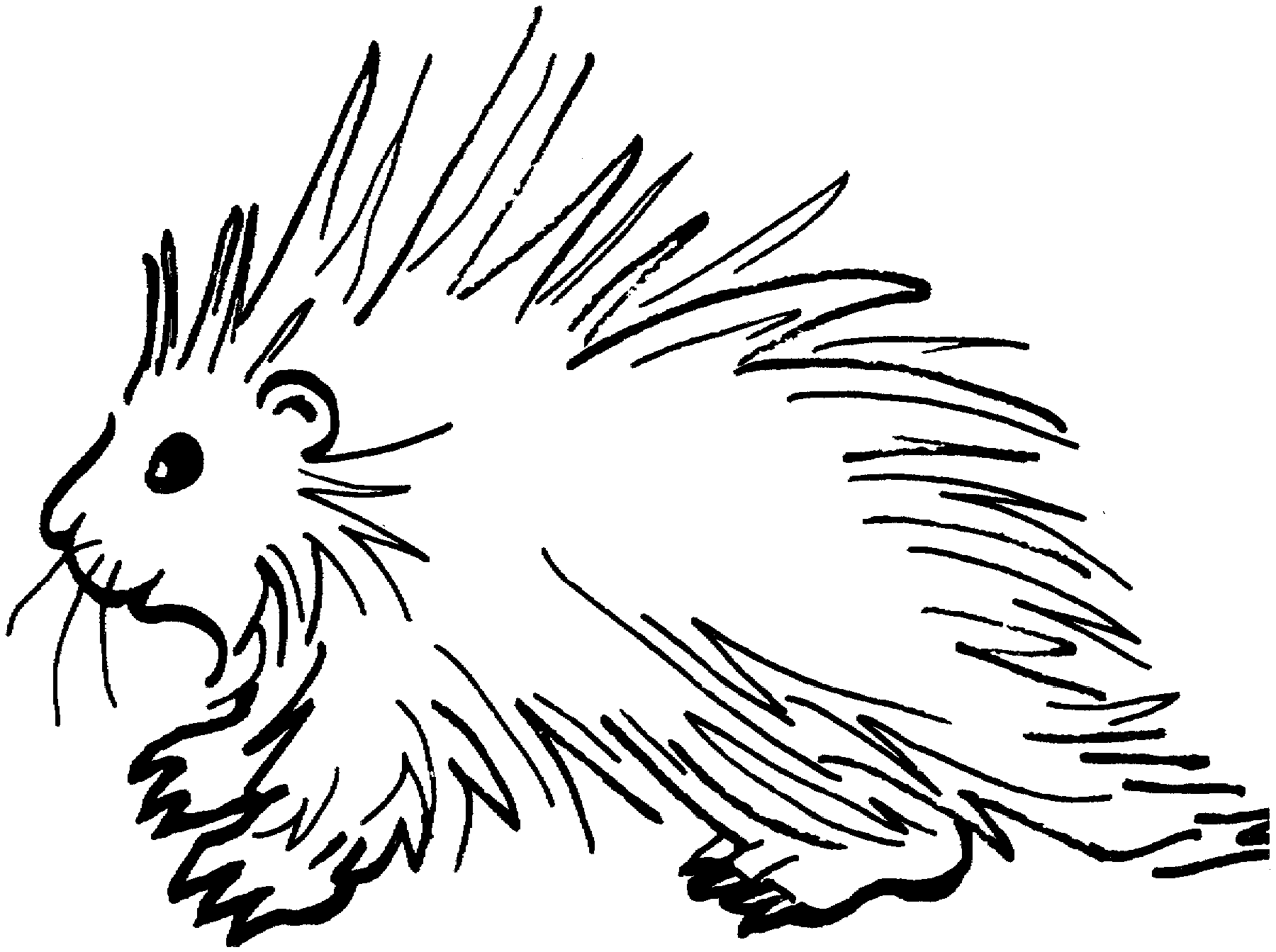 Porcupine coloring pages for for all ages educative printable coloring pages alphabet worksheets printables