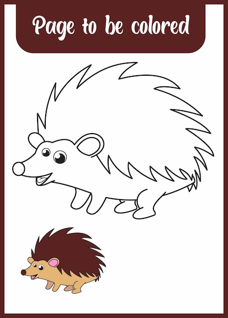 Premium vector coloring book for kid coloring cute hedgehog