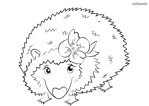 Hedgehogs coloring pages free printable hedgehog coloring sheets