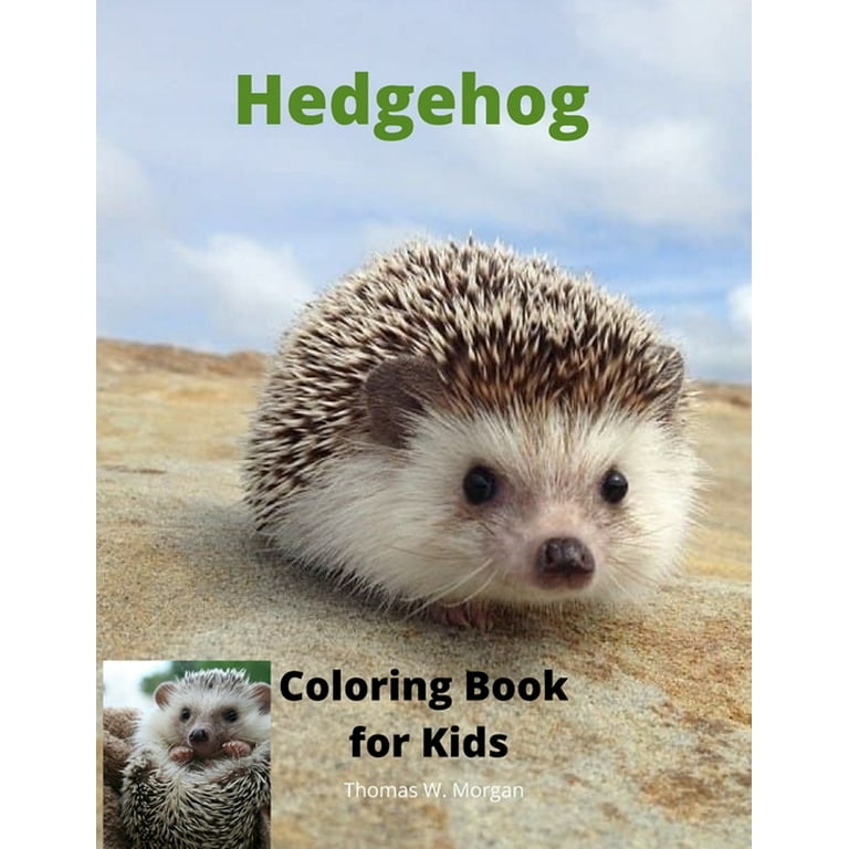 Hedgehog coloring book for kids children activity book for boys and girls ages