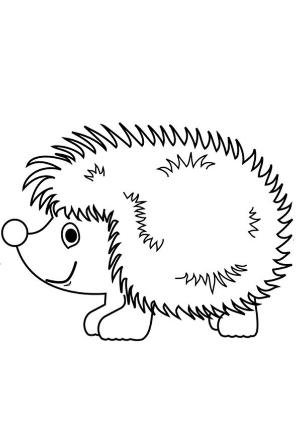 Cute hedgehog colorg page colorg book pages colorg pages bunny colorg pages