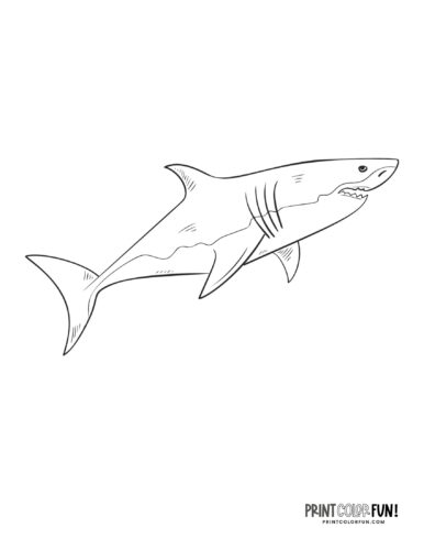 Shark clipart coloring pages dive into a sea of fun and creativity with these learning activities at