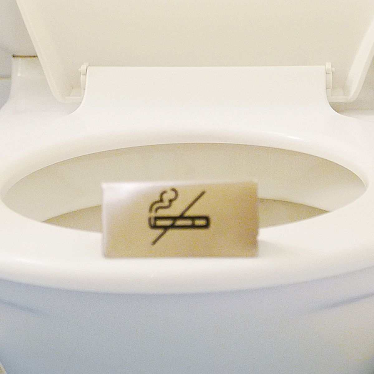 The exploding toilet