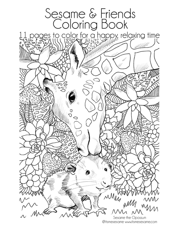 Official sesame coloring book