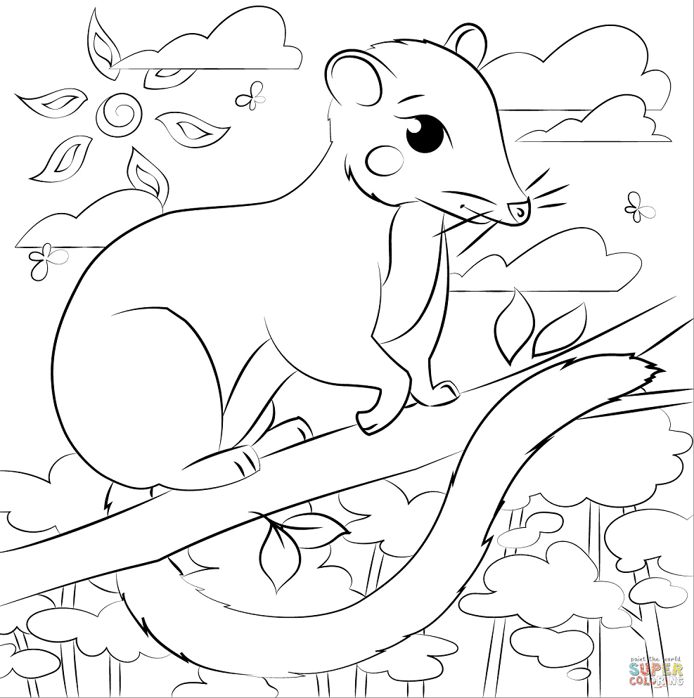 Possum coloring pages printable for free download