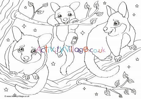 Possum scene louring page