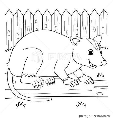 Opossum animal coloring page for kids