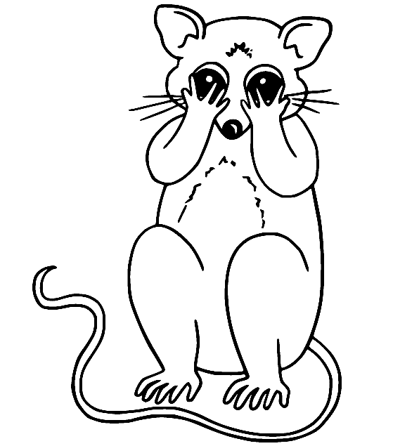 Possum coloring pages printable for free download