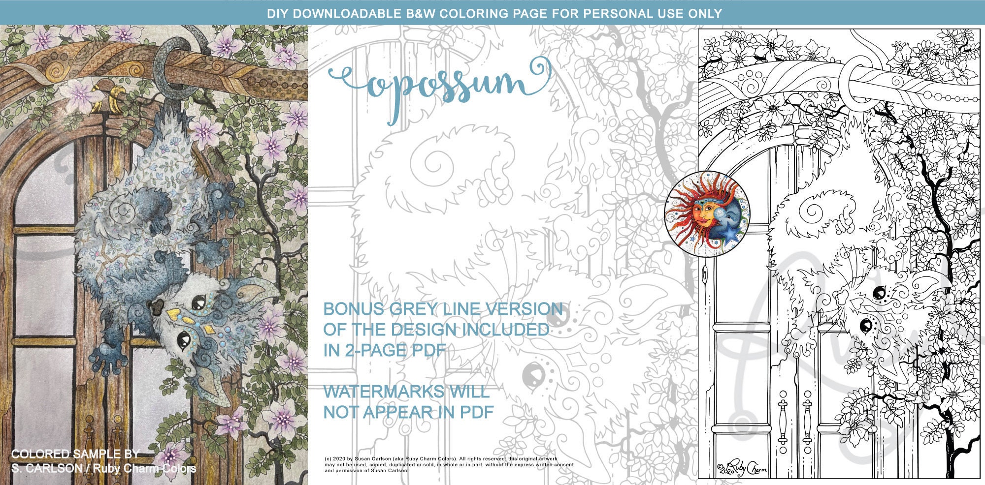Opossum downloadable printable pdf coloring page by ruby charm colors possum marsupial adult coloring colouring page door clematis