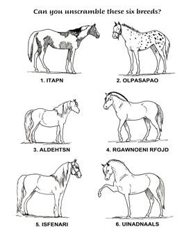 Puzzles and more horse camp horse posters horse coloring pages
