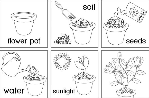 Flower pot coloring page stock illustrations royalty