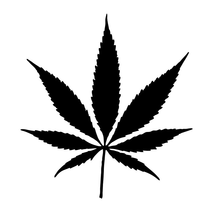 Download cannabis pot leaf royalty