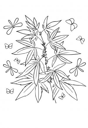 Free printable weed coloring pages for adults and kids