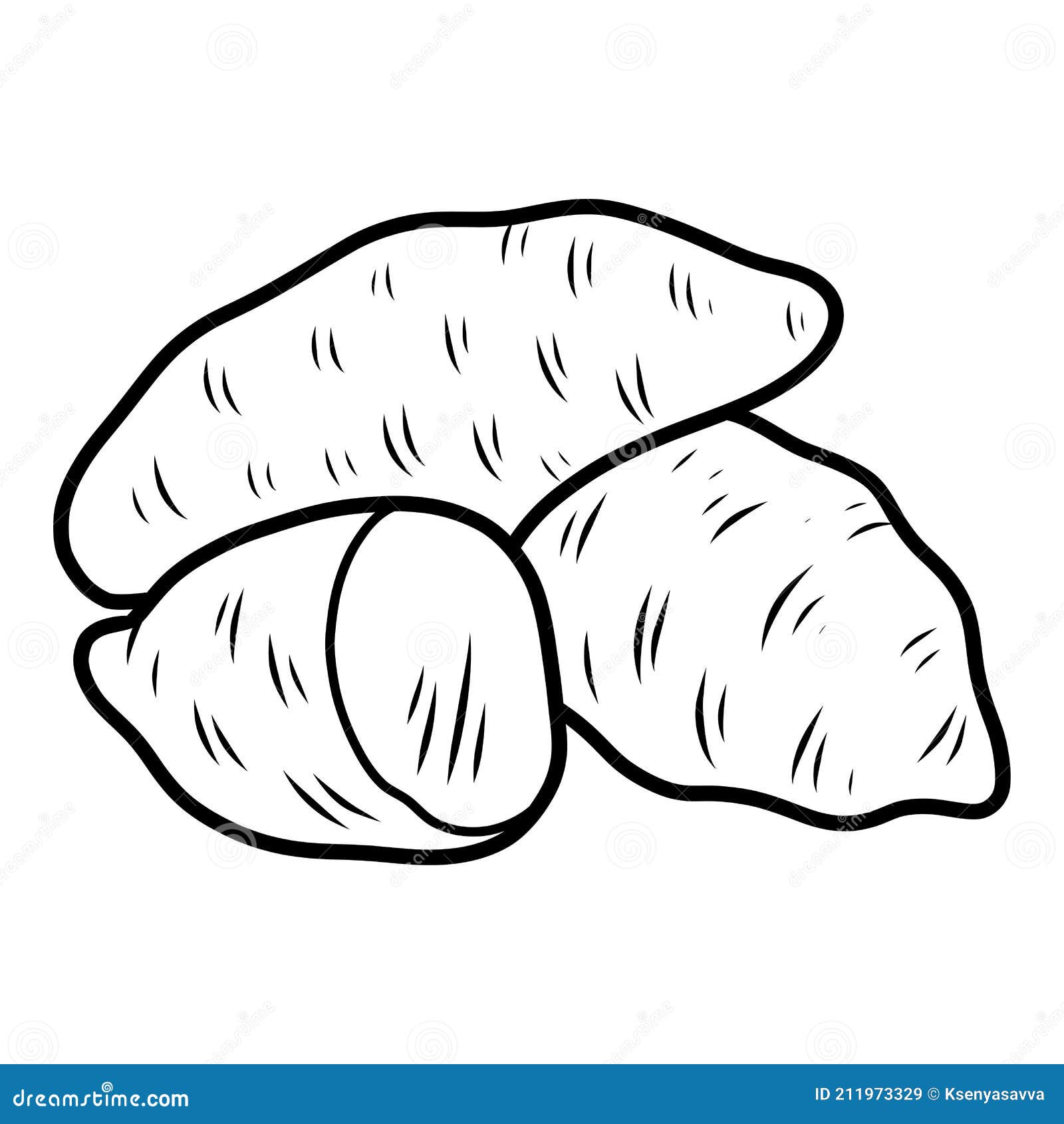Coloring book for kids sweet potato stock vector