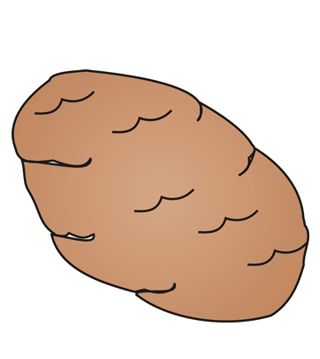 Potato coloring pages for kids to color and print