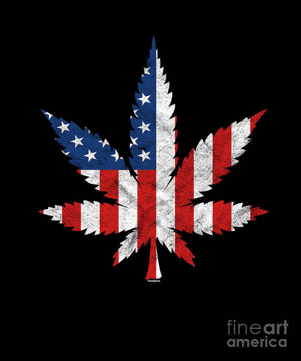 Smoker cannabis leaf plant kush weed pothead smoking gift marijuana usa leaf america art print by thomas larch