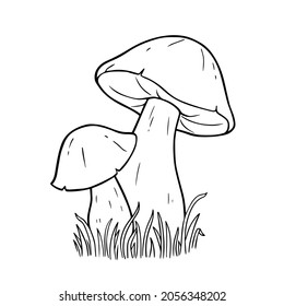 Mushrooms coloring book images stock photos d objects vectors