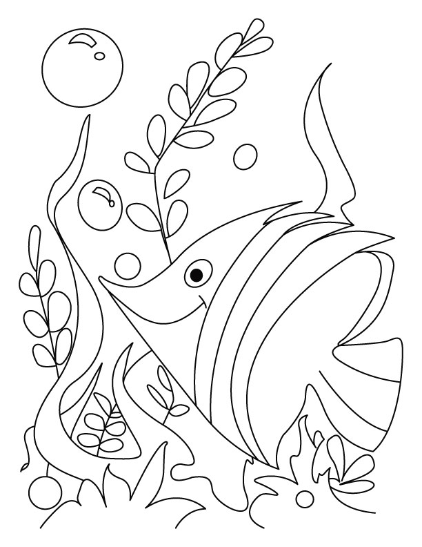Fish gush in flower rush coloring page download free fish gush in flower rush coloring page for kids best coloring pages