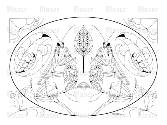 Coloring page praying mantis printable symmetrical coloring digital download adults kids insect