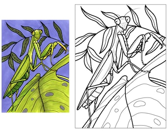 X kids insect coloring poster manny the praying mantis child diy wall art kids coloring activity