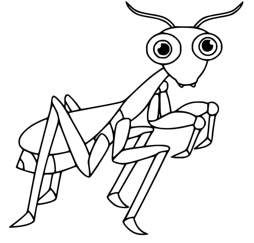 Praying mantis malvorlagen