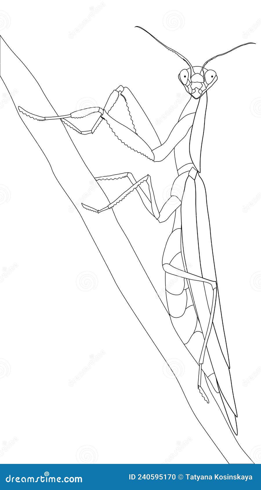 Coloring page for creativity and hobbies stock vector