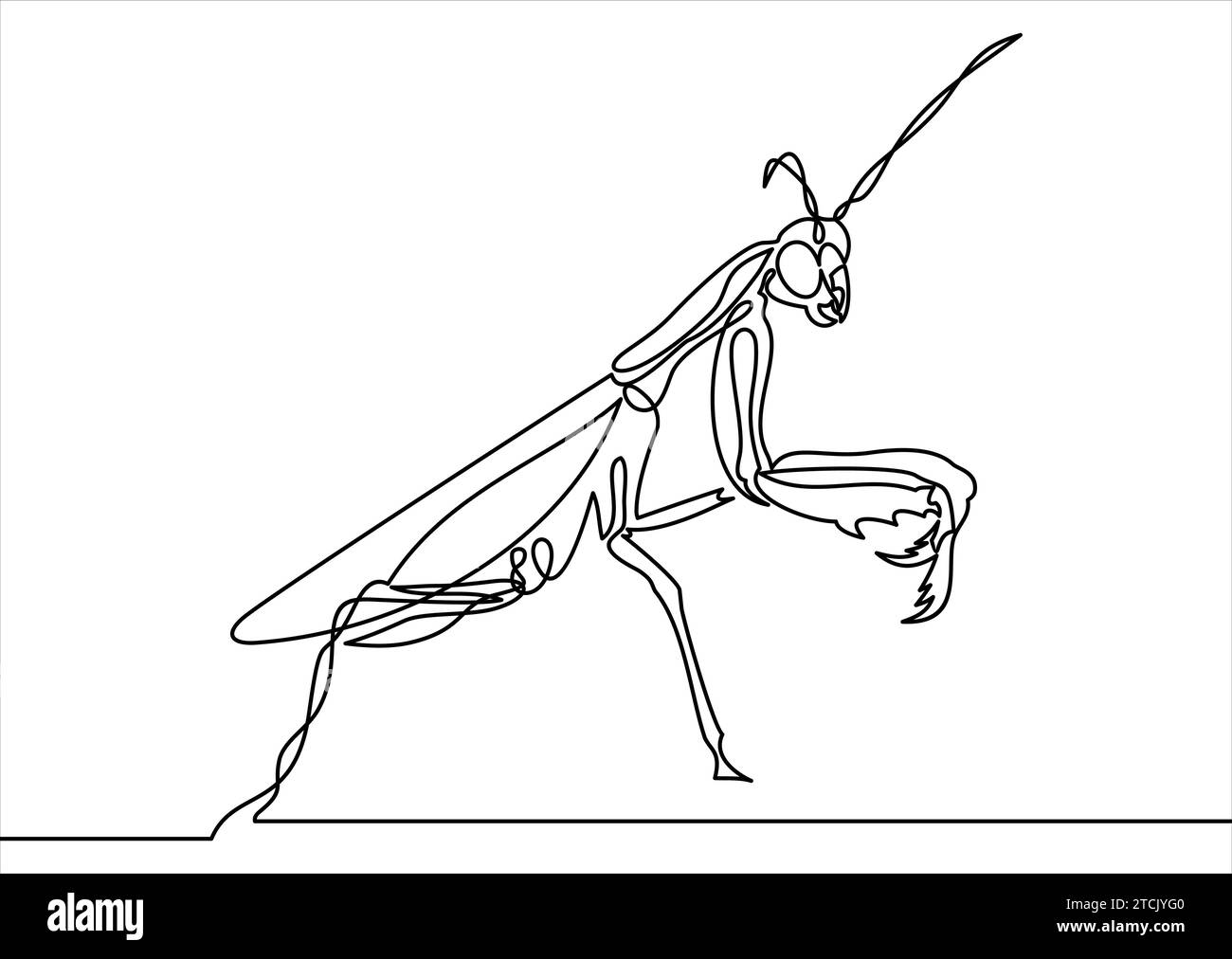 Praying mantis vector hi