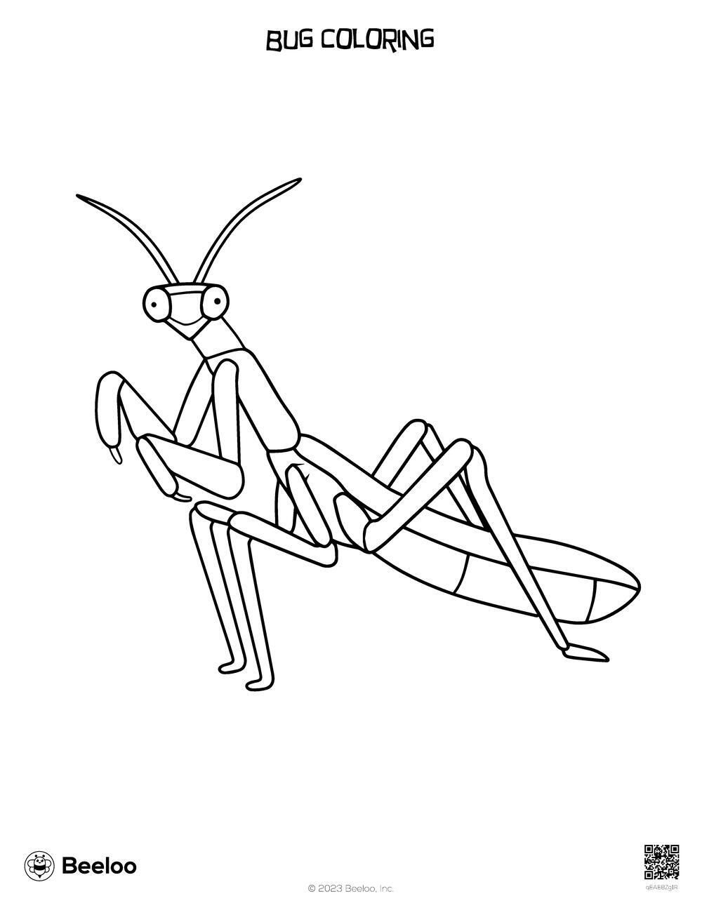 Bug coloring â printable crafts and activities for kids