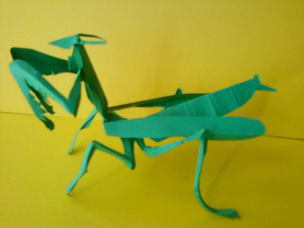 Praying mantis craft umm abdul basirs