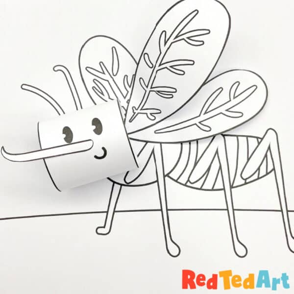 D insect coloring pages