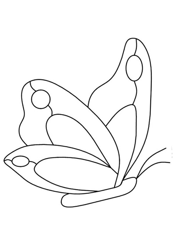 Coloring pages butterfly coloring page preschool